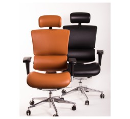 Slika proizvoda: Ergonomska stolica Ergovision Smart Deluxe